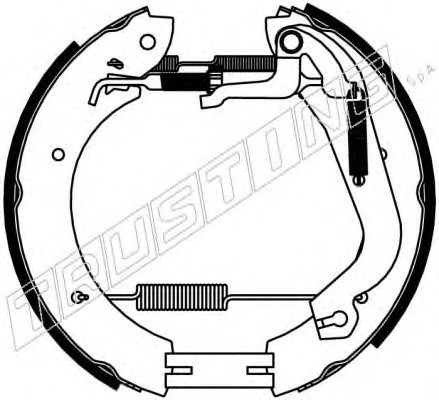 TRUSTING 6469 Brake Shoe Set